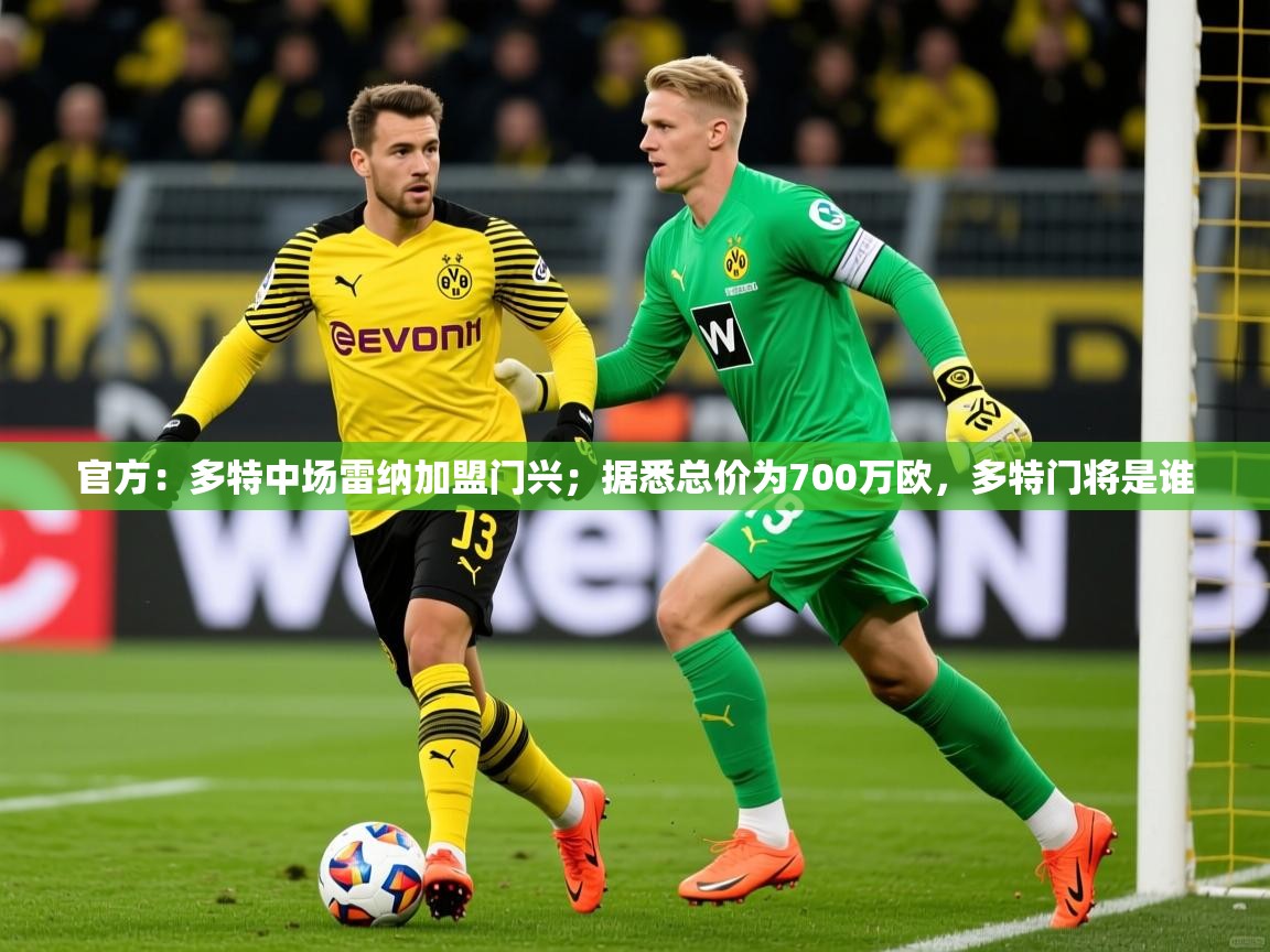 2025澳客体育官网首页官方：多特中场雷纳加盟门兴；据悉总价为700万欧，多特门将是谁  第2张