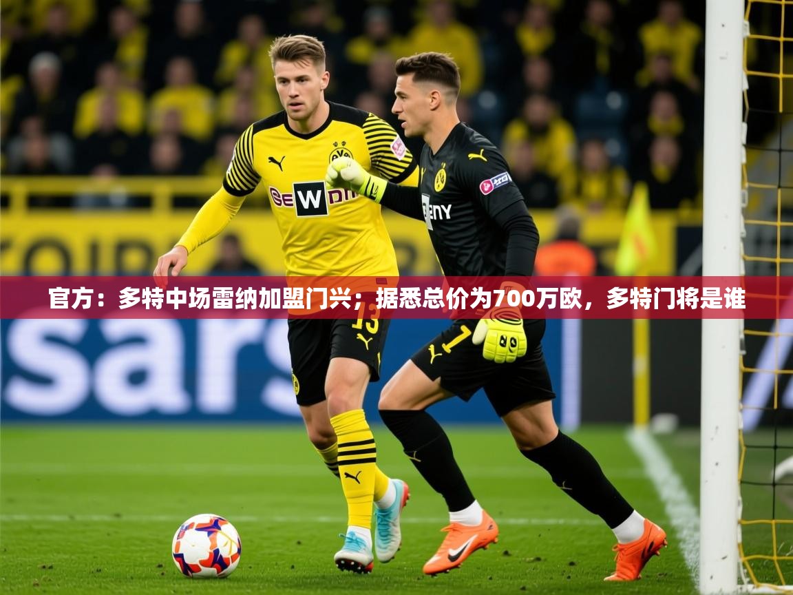 2025澳客体育官网首页官方：多特中场雷纳加盟门兴；据悉总价为700万欧，多特门将是谁  第3张