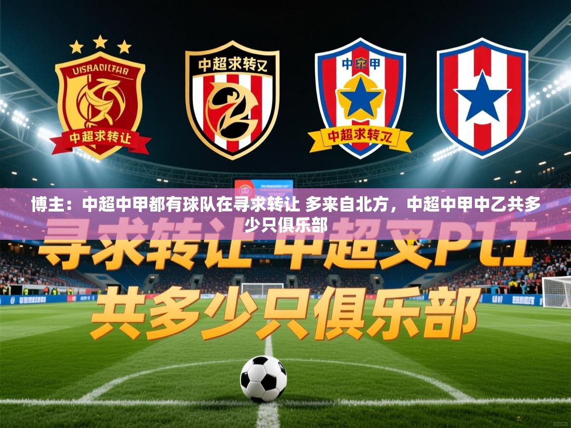 2025澳客体育官网首页博主：中超中甲都有球队在寻求转让 多来自北方，中超中甲中乙共多少只俱乐部  第1张