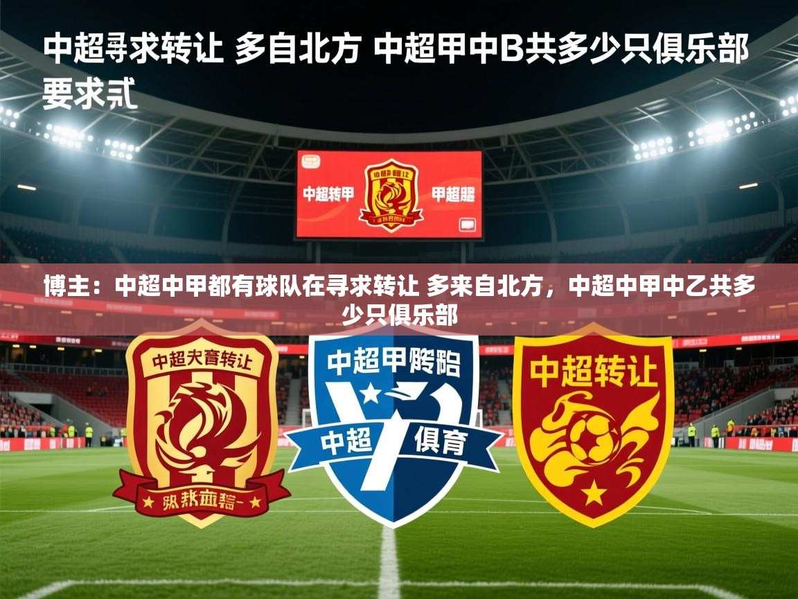 2025澳客体育官网首页博主：中超中甲都有球队在寻求转让 多来自北方，中超中甲中乙共多少只俱乐部  第2张