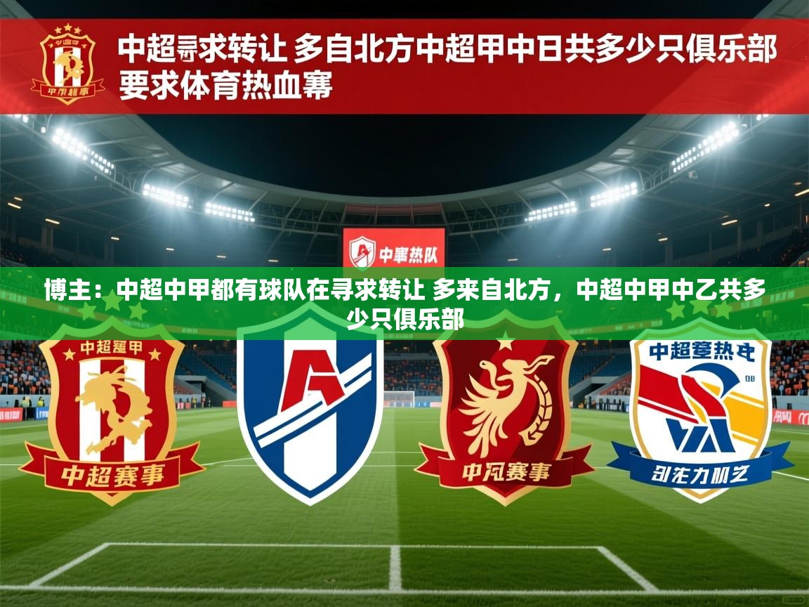 2025澳客体育官网首页博主：中超中甲都有球队在寻求转让 多来自北方，中超中甲中乙共多少只俱乐部  第3张