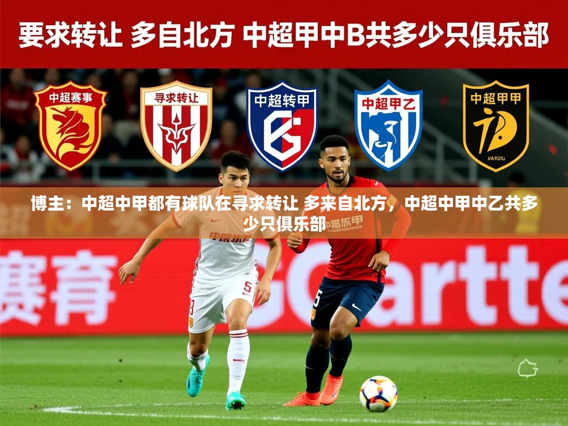 2025澳客体育官网首页博主：中超中甲都有球队在寻求转让 多来自北方，中超中甲中乙共多少只俱乐部  第4张