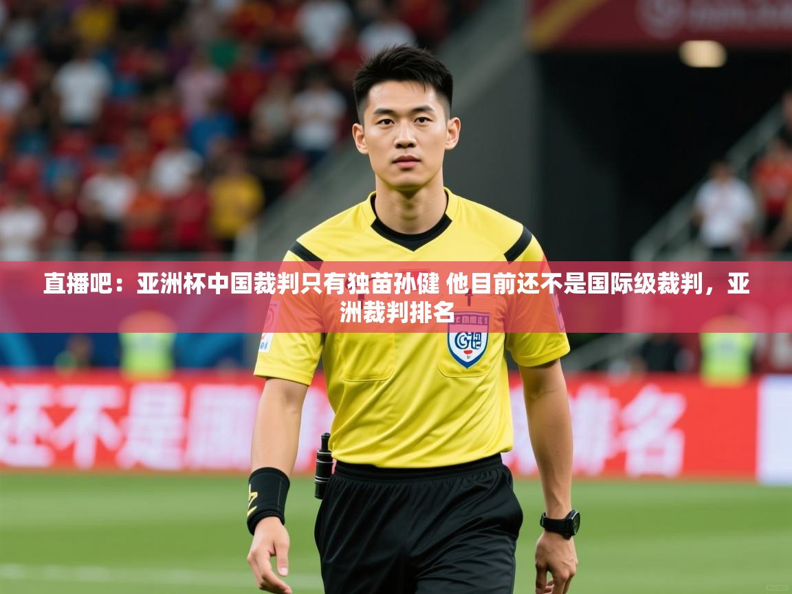 2025澳客体育彩票官方网站足彩网直播吧：亚洲杯中国裁判只有独苗孙健 他目前还不是国际级裁判，亚洲裁判排名  第1张