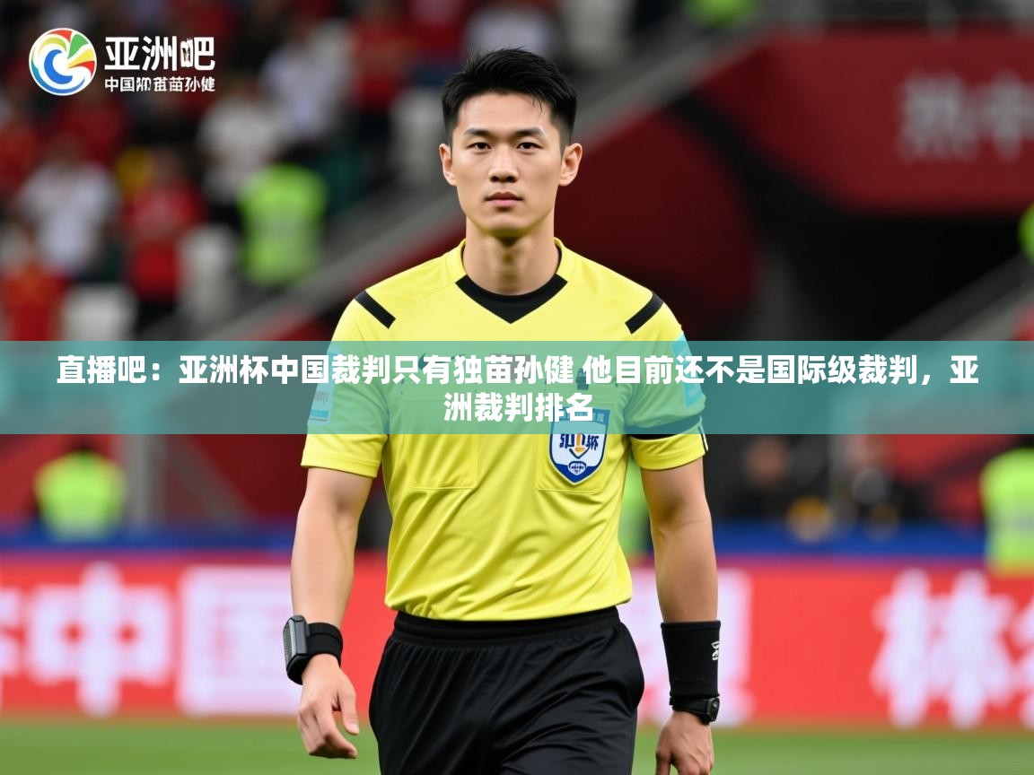 2025澳客体育彩票官方网站足彩网直播吧：亚洲杯中国裁判只有独苗孙健 他目前还不是国际级裁判，亚洲裁判排名  第2张