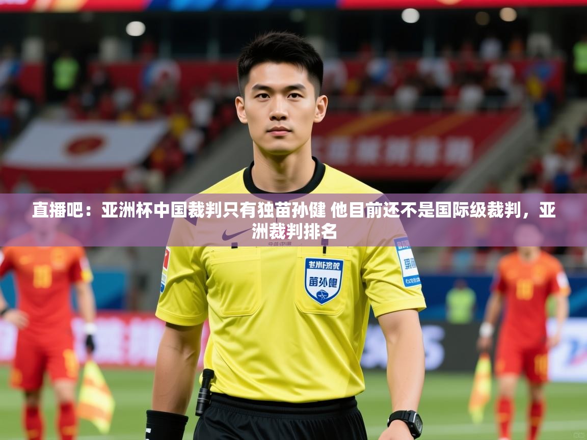 2025澳客体育彩票官方网站足彩网直播吧：亚洲杯中国裁判只有独苗孙健 他目前还不是国际级裁判，亚洲裁判排名  第3张